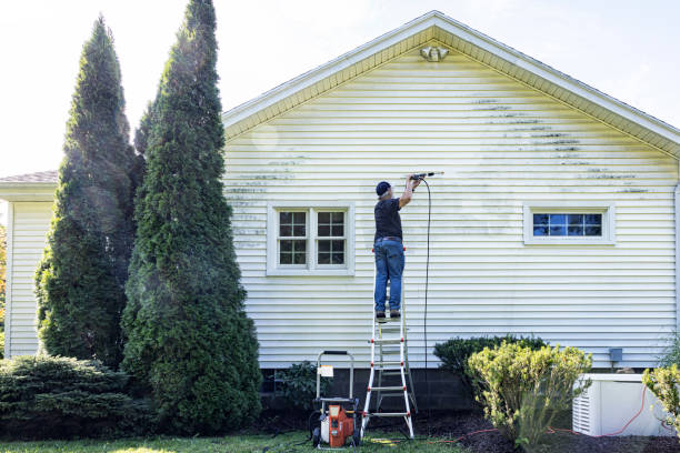 Best Sidewalk and Walkway Cleaning  in North Beach, MD